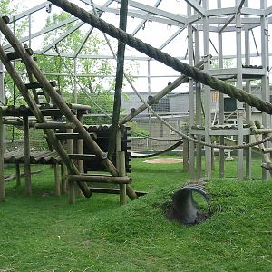 Columbus Zoo 2003 - View into the famous Gorilla exhibit