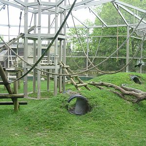 Columbus Zoo 2003 - View into the famous Gorilla exhibit
