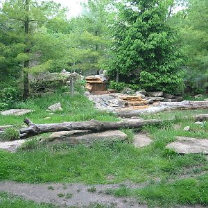 Columbus Zoo 2003 - Grizzly Bear exhibit?