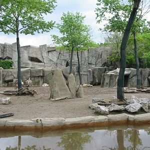 Columbus Zoo 2003 - Zebra exhibit