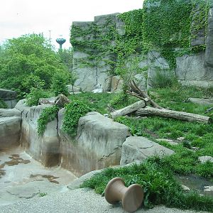 Columbus Zoo 2003 - White Tiger exhibit