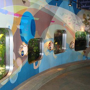 Detroit Zoo 2003 - Inside the Amphibiville