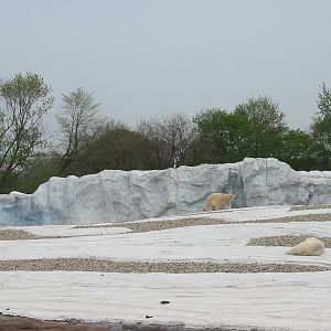 Detroit Zoo 2003 - Part of the Polar Bear exhibit in the Artic Ring of Life