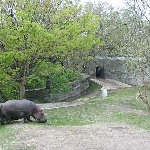 Detroit Zoo 2003 - Part of the Hippopotamus exhibit