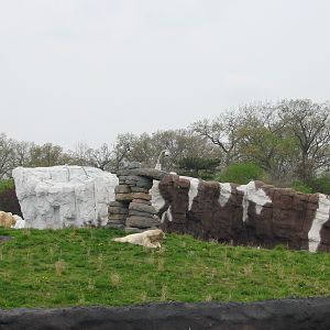 Detroit Zoo 2003 - Part of the Polar Bear exhibit in the Artic Ring of Life