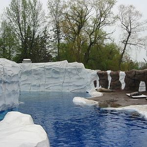 Detroit Zoo 2003 - Seal exhibit in the Artic Ring of Life