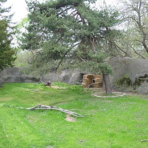 Detroit Zoo 2003 - Exhibit used for rehab Bird of Prey