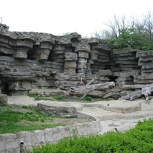 Detroit Zoo 2003 - Bear grotto
