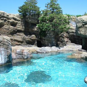 Indianapolis Zoo 2003 - Mixed Pinniped exhibit