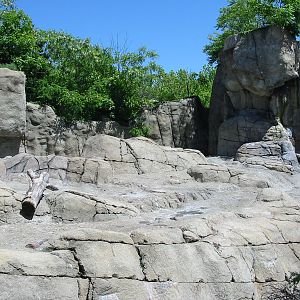 Indianapolis Zoo 2003 - Polar Bear exhibit