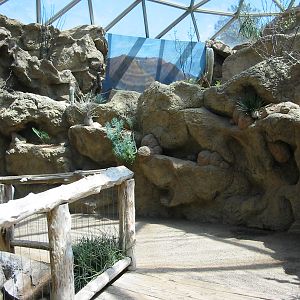 Indianapolis Zoo 2003 - Inside the Desert Dome
