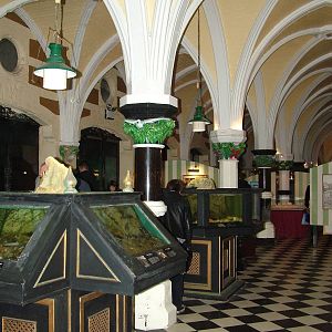 Victorian Displays at Brighton SeaLife Centre 13/03/10