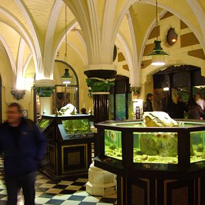 Victorian Displays at Brighton SeaLife Centre 13/03/10