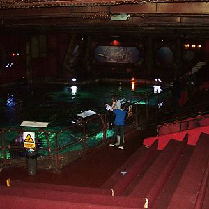Shark and Turtle viewing/former Dolphinarium at Brighton SeaLife Centre 13/