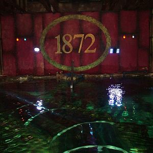 Shark and Turtle Tank/former Dolphinarium at Brighton SeaLife Centre 13/03/