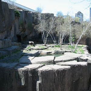 Lincoln Park Zoo 2003 - Side view of the Siberian Tiger exhibit at the Kovl