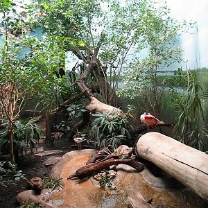 Lincoln Park Zoo 2003 - Exhibit in the McCormick Bird House