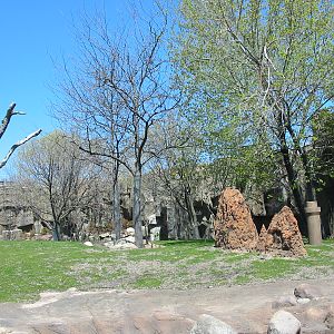 Lincoln Park Zoo 2003 - Empty exhibit in the Regenstein African Journey