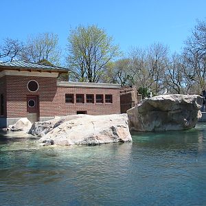 Lincoln Park Zoo 2003 - Kovler Sea Lion Pool
