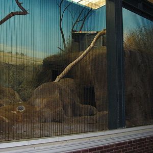 Lincoln Park Zoo 2003 - Exhibit in the Kovler Lion House