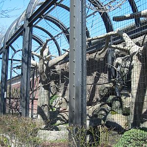 Lincoln Park Zoo 2003 - Outdoor enclosure at the Kovler Lion House