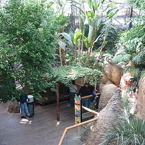 Lincoln Park Zoo 2003 - Inside the Regenstein Small Mammal House