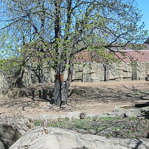 Lincoln Park Zoo 2003 - White-lipped Deer exhibit in the Antelope and Zebra