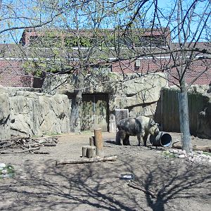 Lincoln Park Zoo 2003 - Sichuan Takin exhibit in the Antelope and Zebra are
