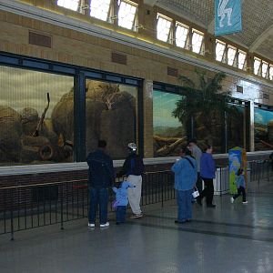 Lincoln Park Zoo 2003 - Inside the Kovler Lion House