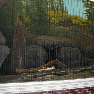 Lincoln Park Zoo 2003 - Exhibit in the Kovler Lion House