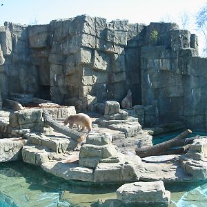 Lincoln Park Zoo 2003 - Polar Bear exhibit in the McCormick Bear Habitat