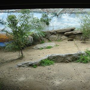 Los Angeles Zoo 2003 - Part of a Komodo Dragon exhibit in a renovated round