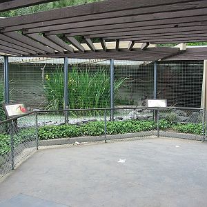 Los Angeles Zoo 2003 - Ibis enclosure in an old round houses