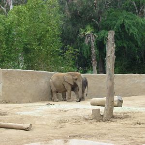 Los Angeles Zoo 2003 - Elephant exhibit