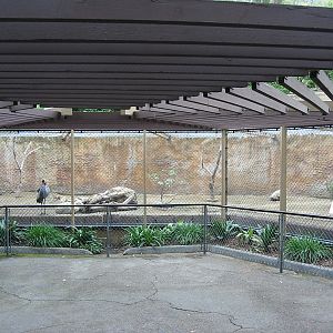 Los Angeles Zoo 2003 - Crowned Crane enclosure in one of the old round hous