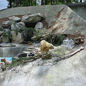 Los Angeles Zoo 2003 - Polar Bear exhibit