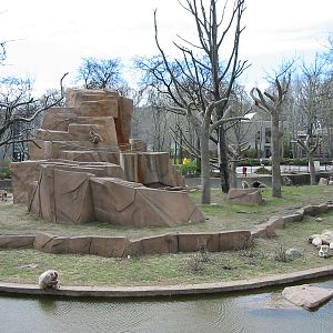 Milwaukee County Zoo 2003 - Japanese Macaque exhibit