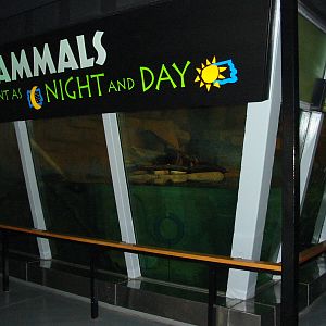 Milwaukee County Zoo 2003 - Otter exhibit?