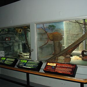 Milwaukee County Zoo 2003 - Small mammal indoor exhibits
