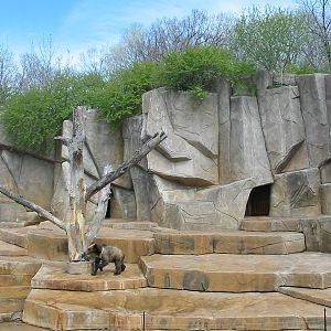 Milwaukee County Zoo 2003 - Brown Bear exhibit