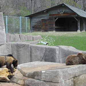 Milwaukee County Zoo 2003 - Brown Bear and cub
