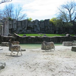 Milwaukee County Zoo 2003 - Greater Kudu and Plains Zebra exhibit