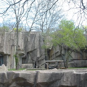 Milwaukee County Zoo 2003 - Jaguar exhibit