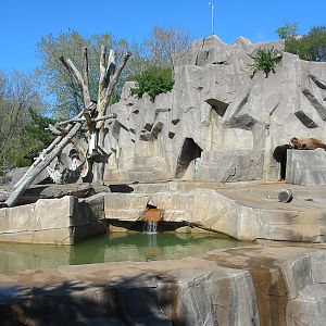 Milwaukee County Zoo 2003 - Grizzly Bear exhibit