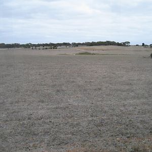 Large expanse of nothing