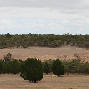 Addax and Barbary Sheep enclosure