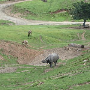 Wild Animal Park 2003 - Asian Plains exhibit