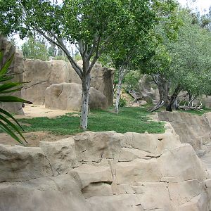 Wild Animal Park 2003 - Alongside the Gorilla exhibit