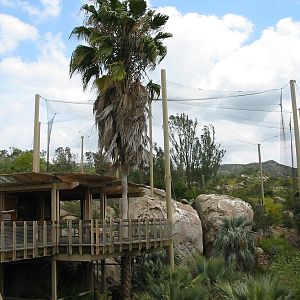 Wild Animal Park 2003 - California Condor enclosure