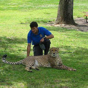 Wild Animal Park 2003 - Keeper shows a Cheetah